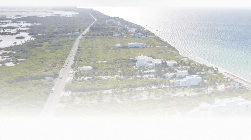 Vista aérea de la costa yucateca y su conexión vial